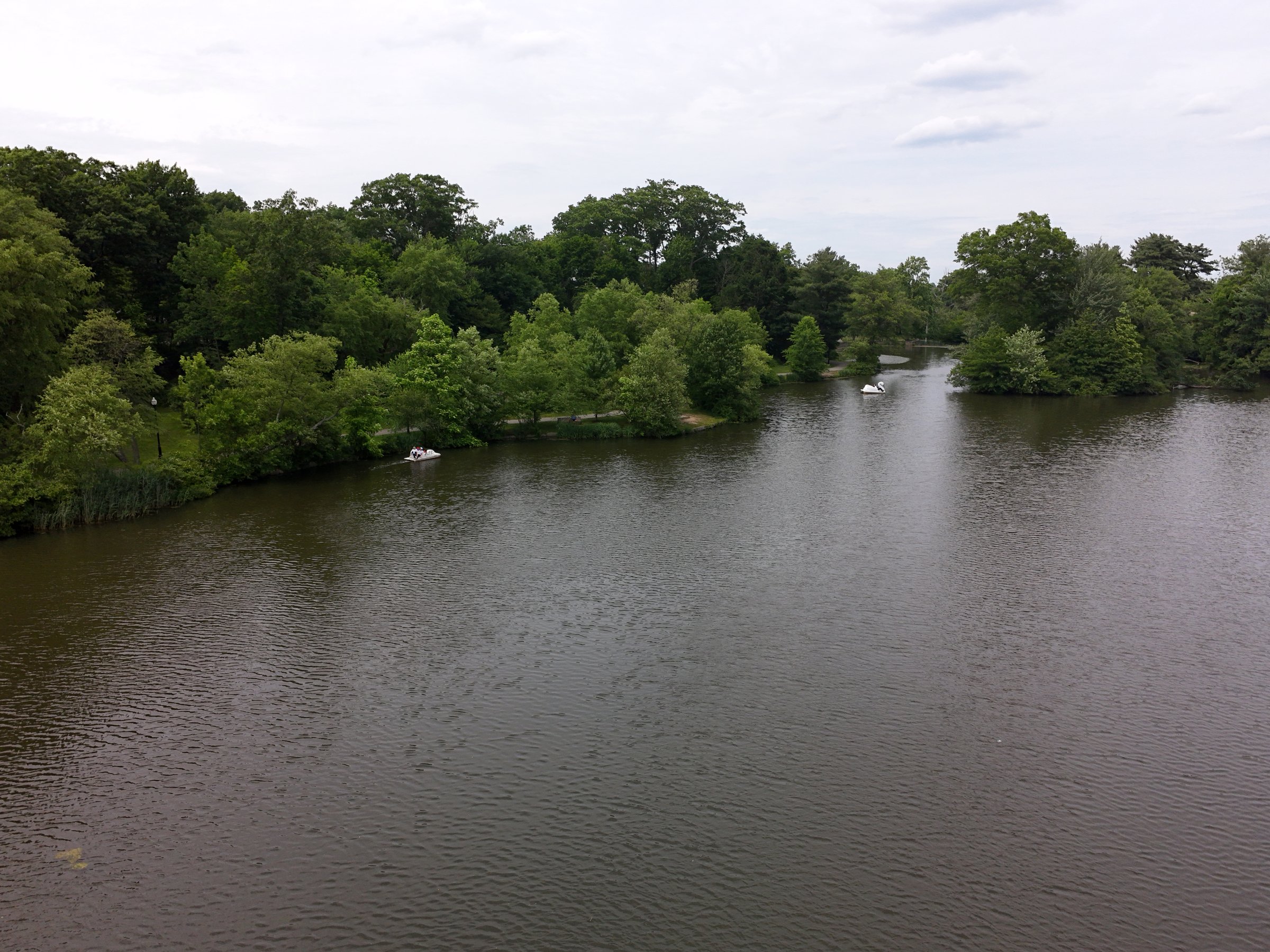 CAM_20260614141638_0066_W